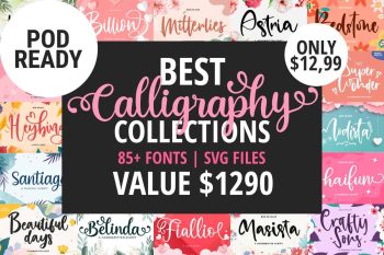 FallenGraphic Font Bundles Extended License