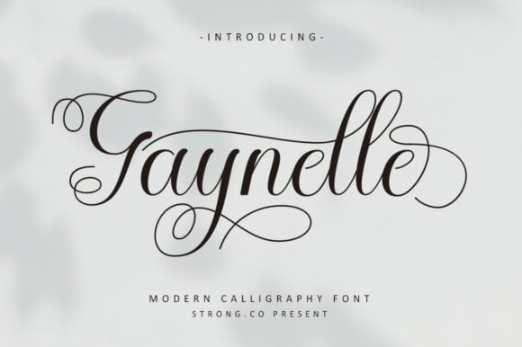 10 BEAUTIFUL FONT FOR CRICUT PROJECT START FROM $1 ONLY – FallenGraphic